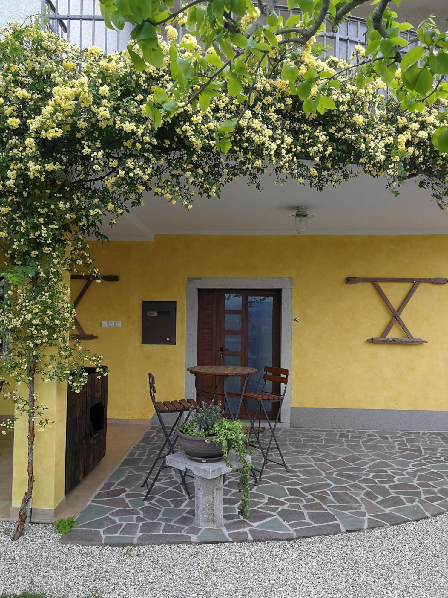 Med Oljkami Apartment Koper Exterior foto