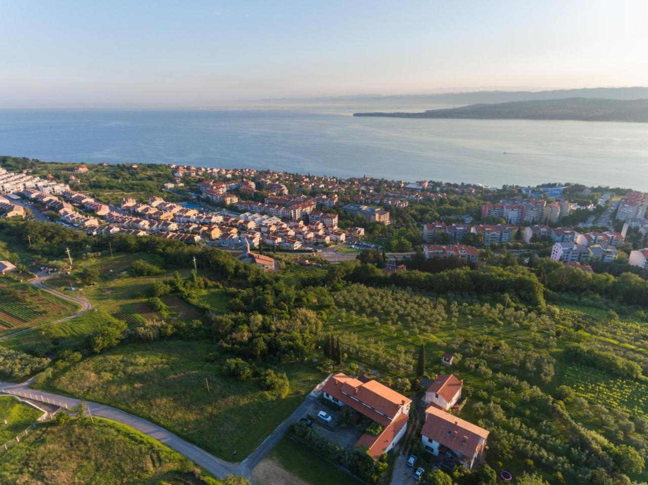 Med Oljkami Apartment Koper Exterior foto